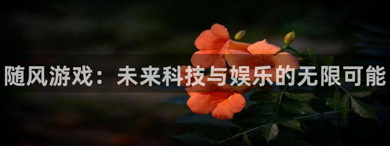 赢咖娱乐在线登录：随风游戏：未来科技与娱乐的无限可能