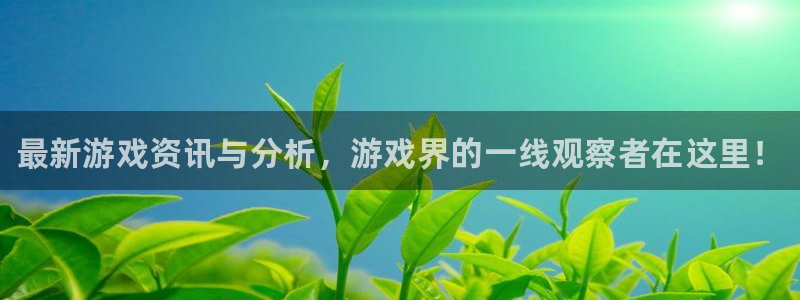 赢咖娱乐登陆测速：最新游戏资讯与分析，游戏界的一线观察者在这