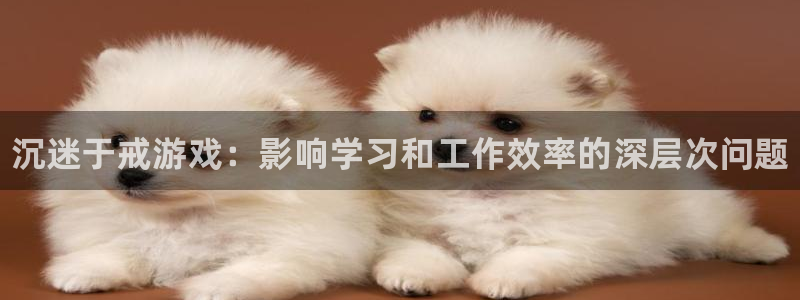赢咖娱乐注册地址：沉迷于戒游戏：影响学习和工作效率的深层次问