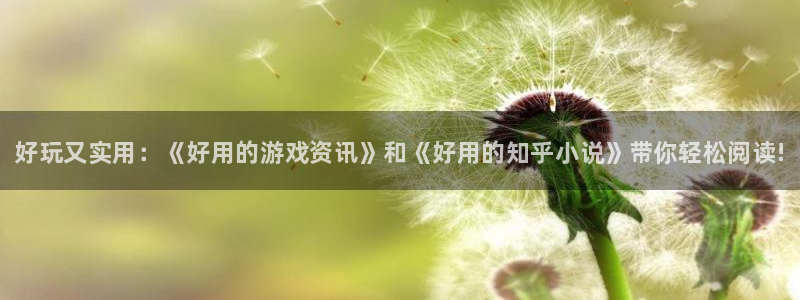 赢咖娱乐注册网站：好玩又实用：《好用的游戏资讯》和《好用的知
