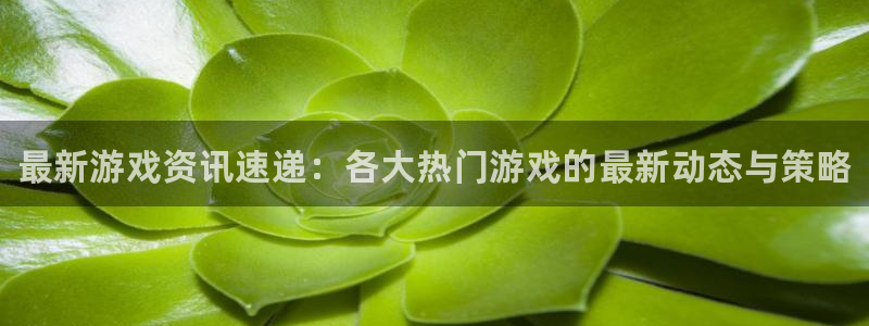 赢咖娱乐4主管：最新游戏资讯速递：各大热门游戏的最新动态与策