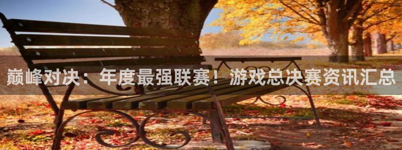 赢咖娱乐科技：巅峰对决：年度最强联赛！游戏总决赛资讯汇总