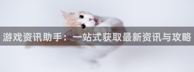 赢咖娱乐2登录：游戏资讯助手：一站式获取最新资讯与攻略