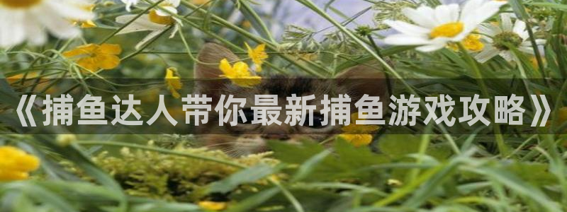 赢咖娱乐科技：《捕鱼达人带你最新捕鱼游戏攻略》