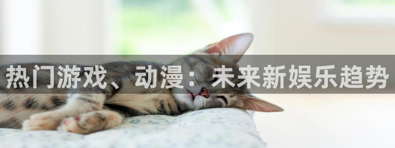 赢咖娱乐咨询：热门游戏、动漫：未来新娱乐趋势